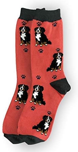 Bernese Mt. Dogs Lover Socks - All Season - One Size Fits Most - Unisex