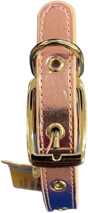 Dog Collar premium quality 14"-17" inches .Up to 50 lbs