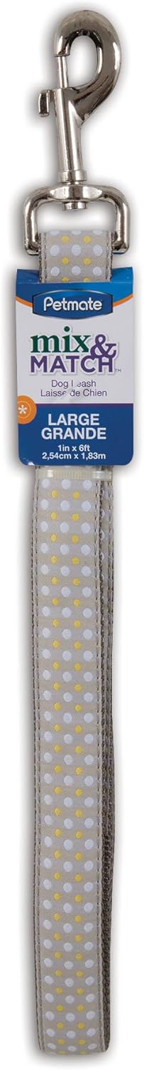 Petmate Dots Leash, 1" x 6', Yellow. Strong and Up to 50 lbs