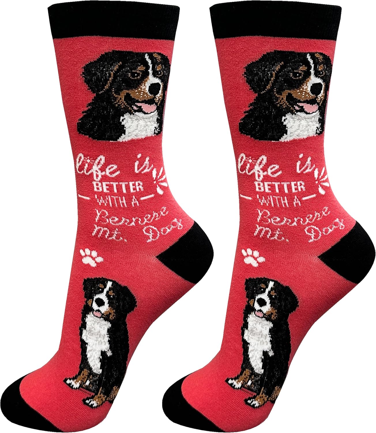 Bernese Mt Dog Lovers Socks - one size fits most,All season,Unisex,Premium Quality