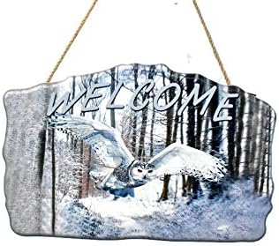 New 12" x 8" Welcome Flying White Owl with Snow Covered Background Hanging Door Sign