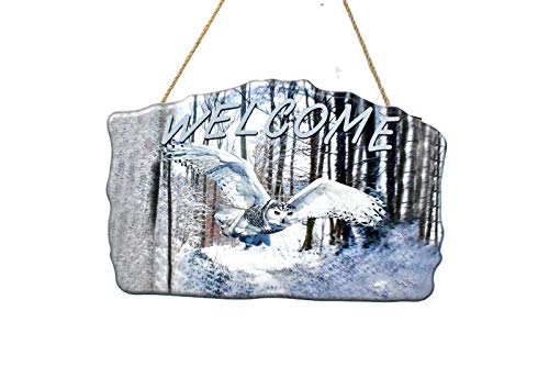 New 12" x 8" Welcome Flying White Owl with Snow Covered Background Hanging Door Sign