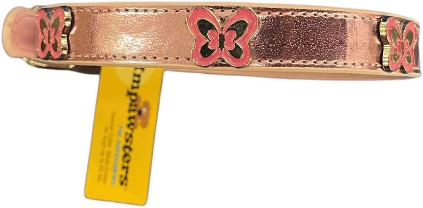 Dog Collar premium quality 14"-17" inches .Up to 50 lbs