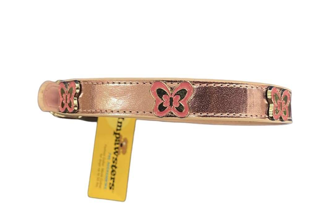 Dog Collar premium quality 14"-17" inches .Up to 50 lbs