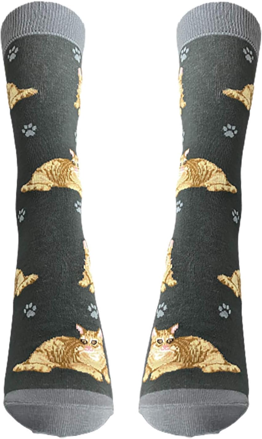 Tabby Orange Cat  Pet Lover Socks - All Season - One Size Fits Most - Unisex