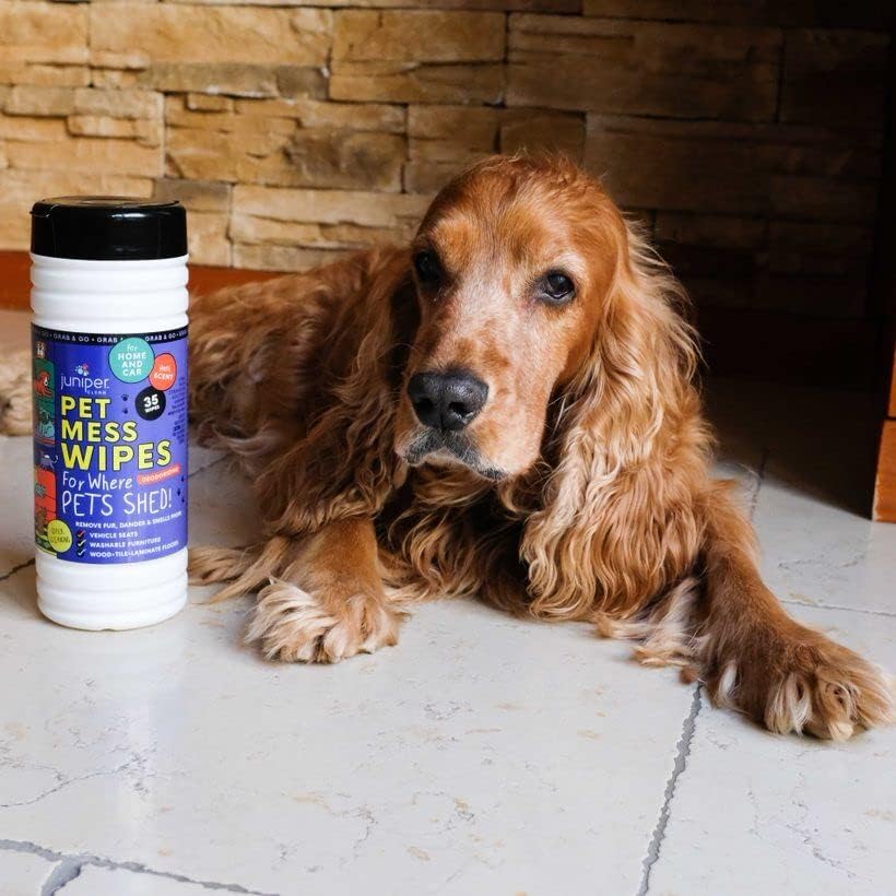 Pet Mess Wipes for Pets Cleansing, Wipes for Dogs and Puppies–Remove Fur, Dander, Smells from Vehicle Seats, Washable Furniture, Wood, Tile, and Laminate Floors, 50 Count (Pack of 1)