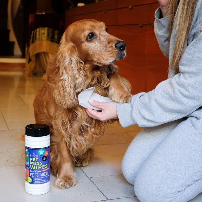 Pet Mess Wipes for Pets Cleansing, Wipes for Dogs and Puppies–Remove Fur, Dander, Smells from Vehicle Seats, Washable Furniture, Wood, Tile, and Laminate Floors, 50 Count (Pack of 1)