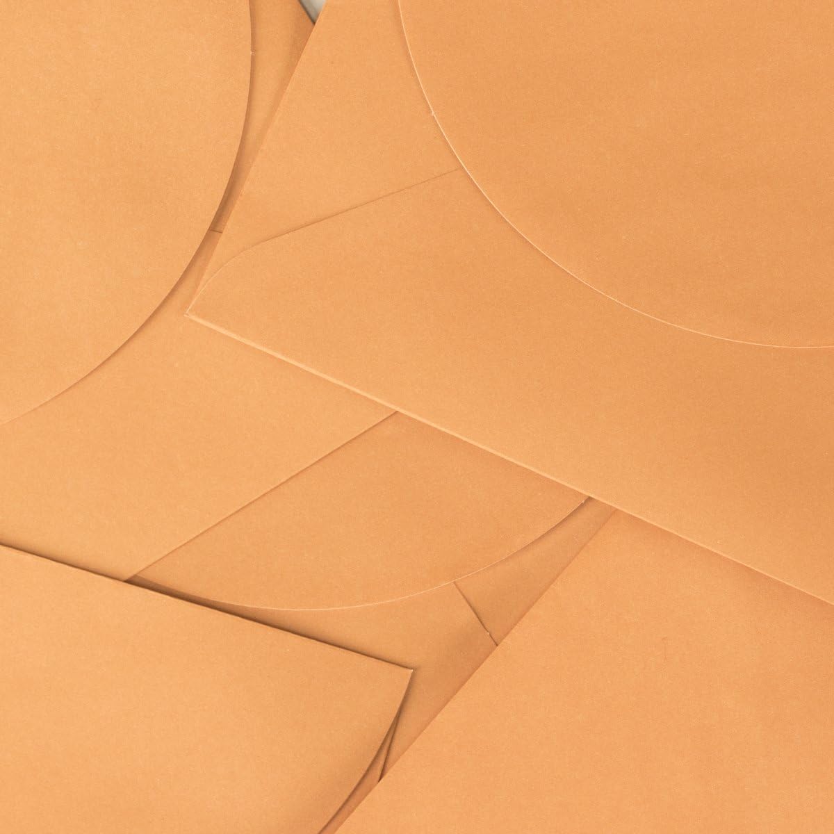 DaySpring Blank Cards with Designed Envelopes and Storage Tray, 5-1/4" x 3-14/16"