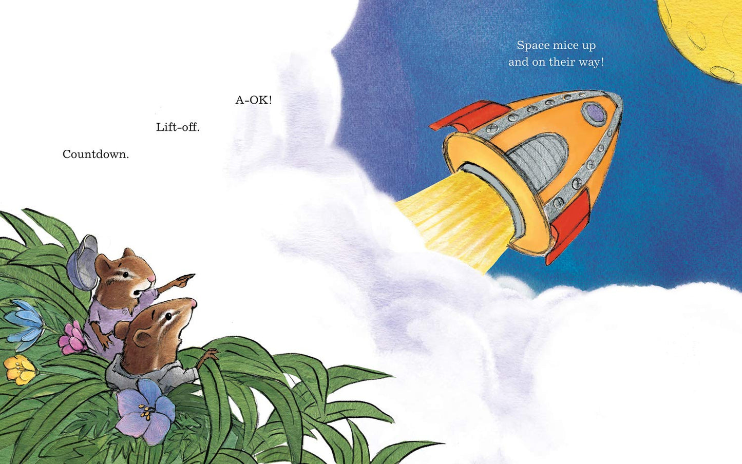 Space Mice, Text Book