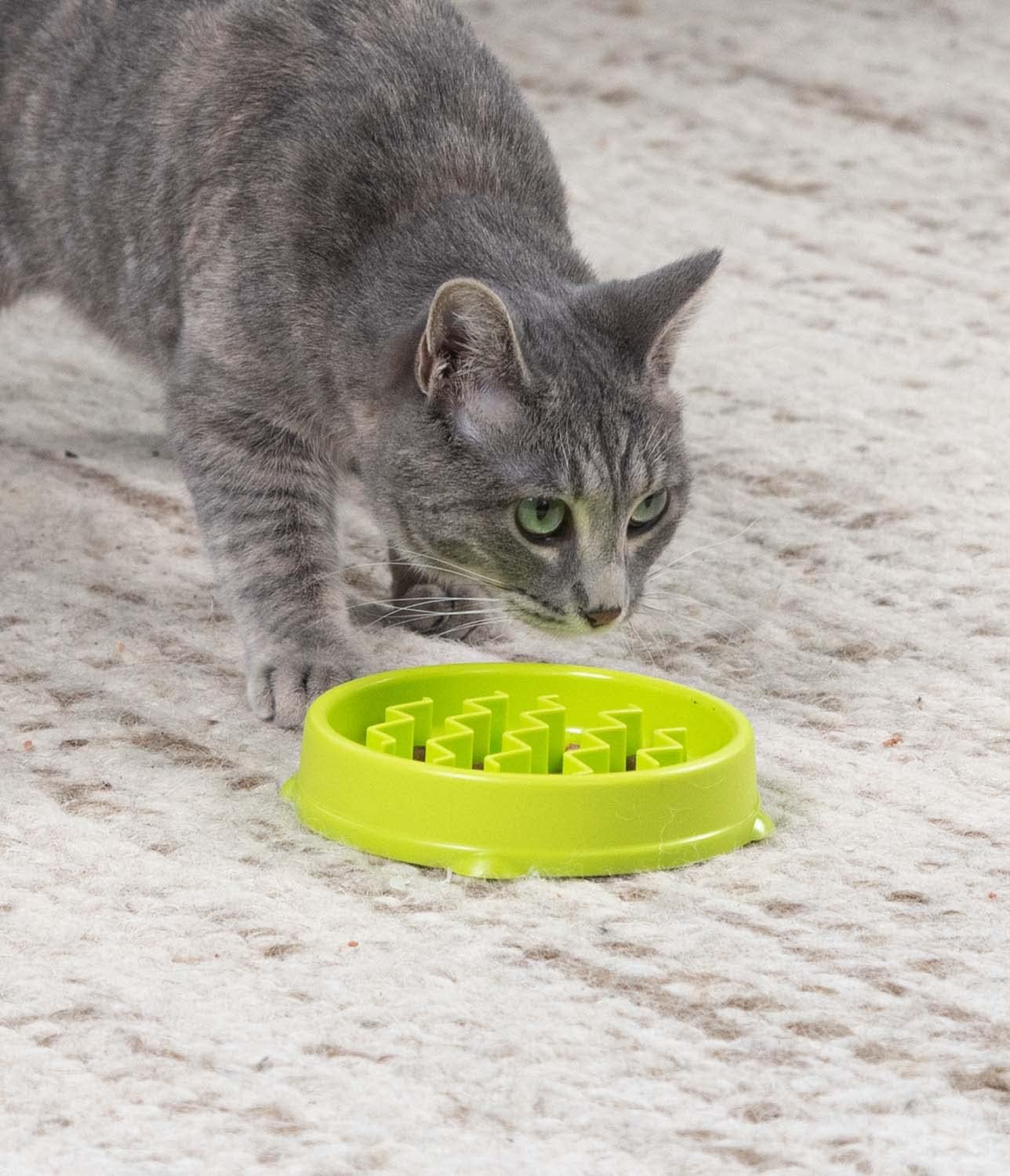 Catstages Kitty Slow Feeder Cat Bowl, Green