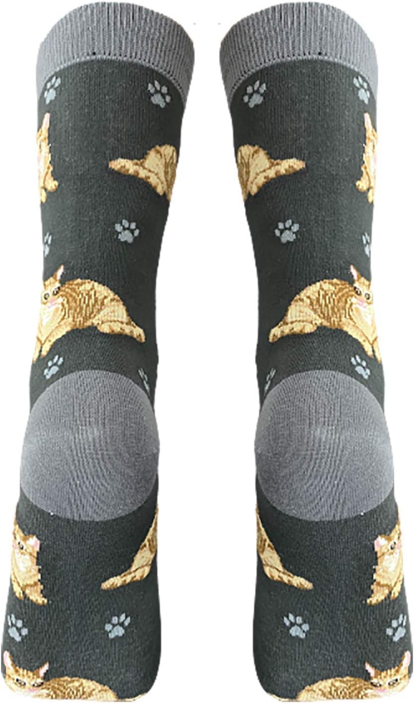 Tabby Orange Cat  Pet Lover Socks - All Season - One Size Fits Most - Unisex