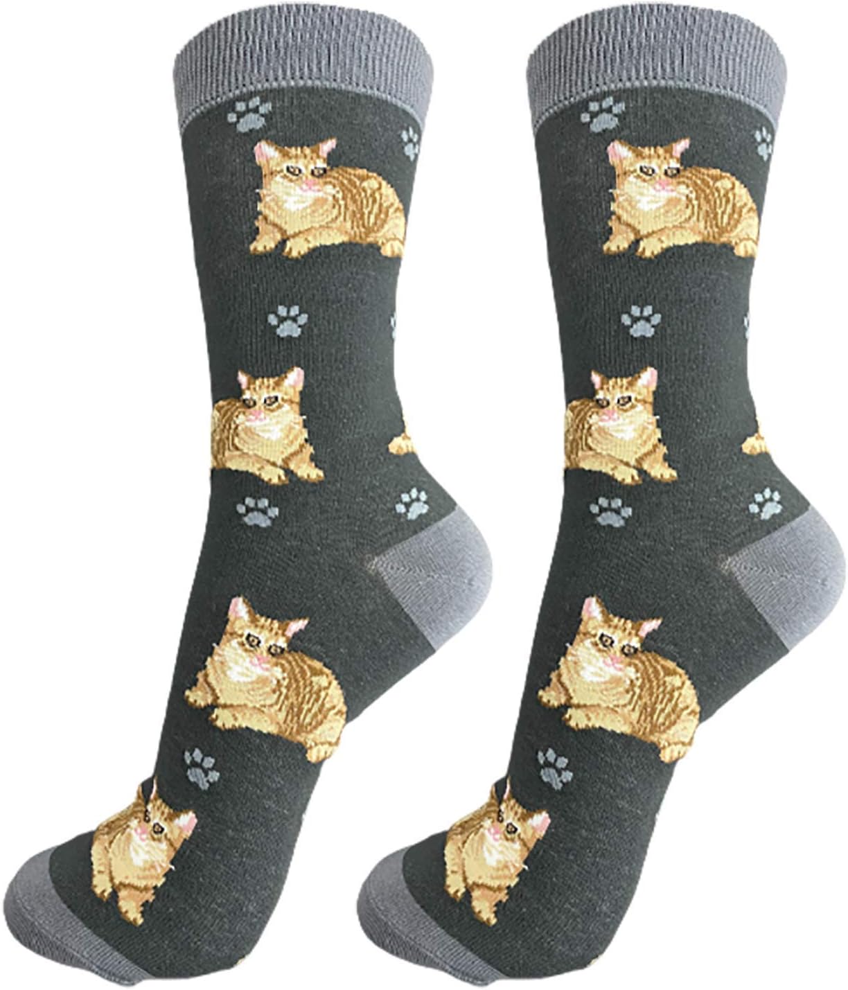 Tabby Orange Cat  Pet Lover Socks - All Season - One Size Fits Most - Unisex