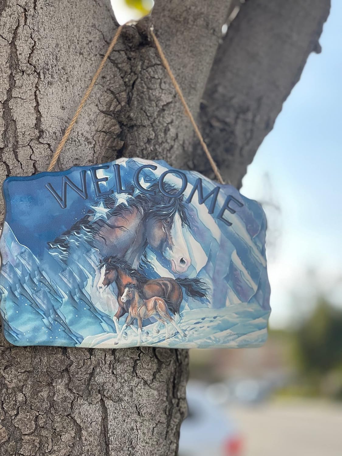 Welcome Wood Indian American Sign–Wood Sign Plaques for: Front Door/Porch/Home Interior/Wall/Room, Size of The Wood Plaque is 11.5" x 7.5",(3 Horses) DC12145F
