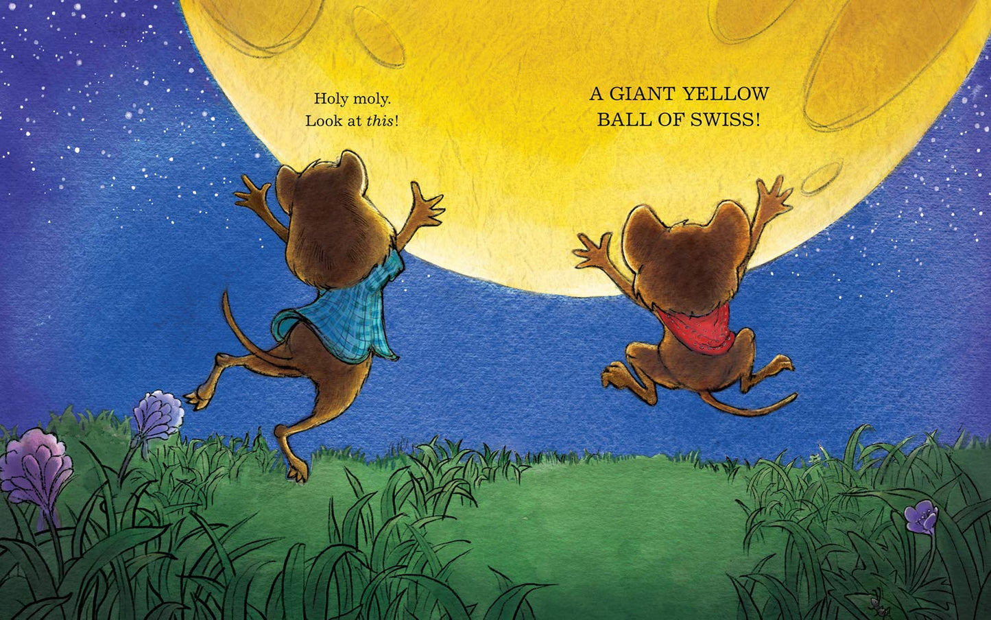 Space Mice, Text Book