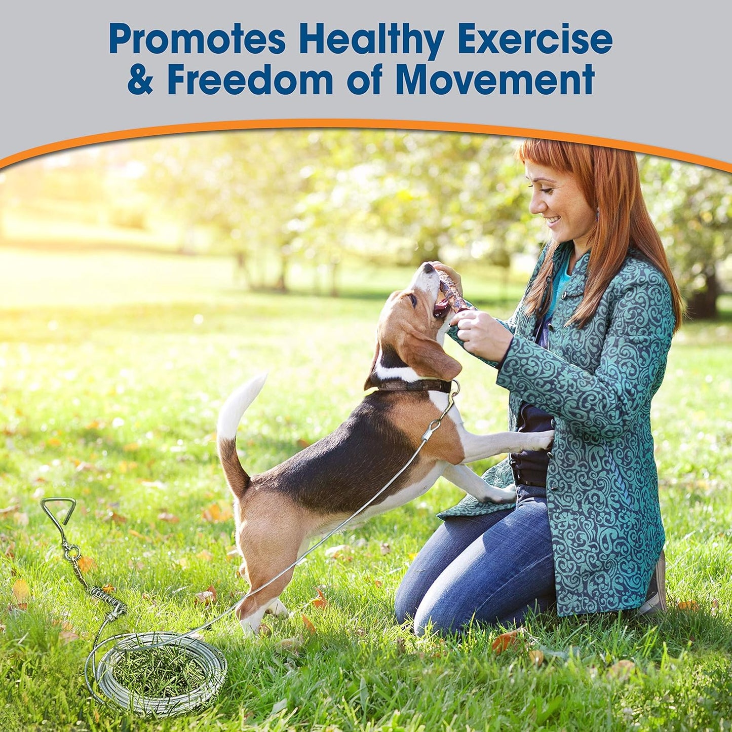 Four Paws Heavy Weight Tie Out Cable Silver 15 Feet