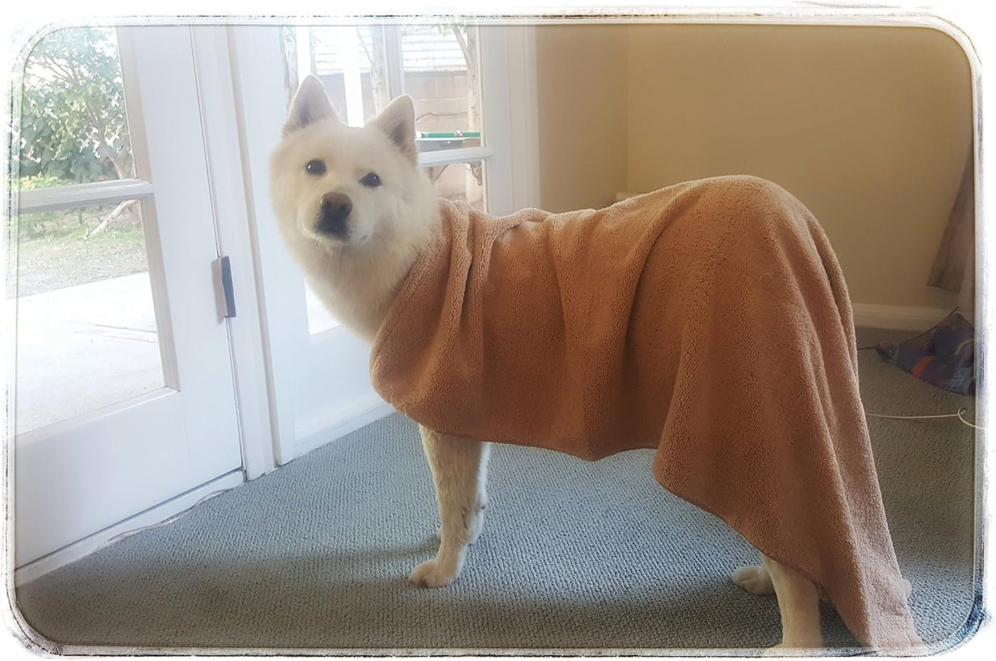 Ultra-Absorbent Pet Bath Towel for Small, Medium, Large Dogs and Cats, Machine Washable 44" x 28" Inch.